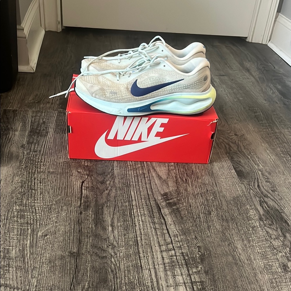 Nike Journey Running Shoes (MEN 13)